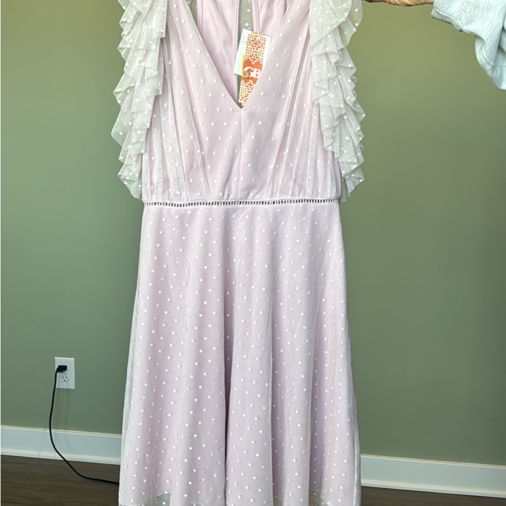 Gianni Bini Light Pink Mini Dress with Ruffle Details